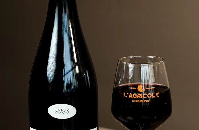 CÔTES DE GASCOGNE IGP<br>« Cuvée Harmonie de Gascogne »
<br>Domaine de Pellehaut